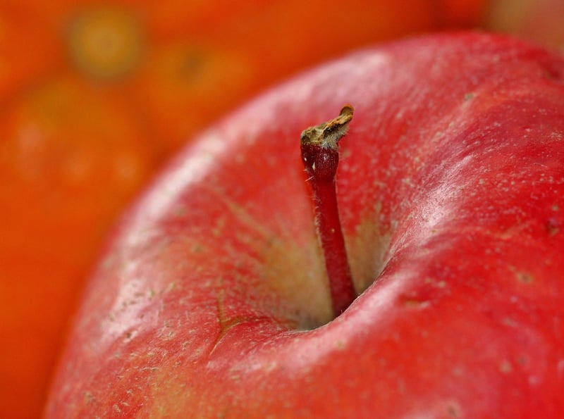 Apple Trees